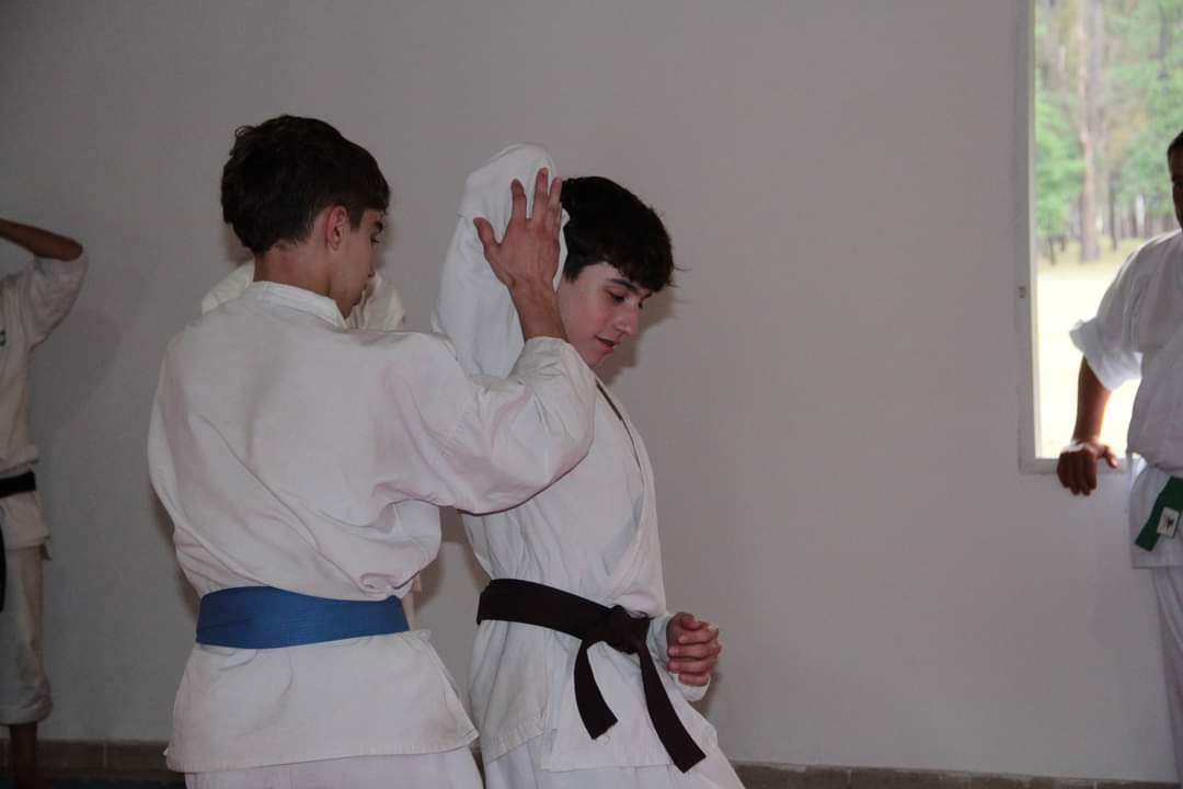 IMG-20241027-WA0072.jpg