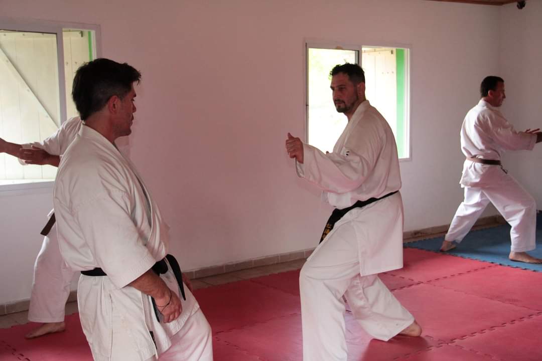 IMG-20241027-WA0081.jpg